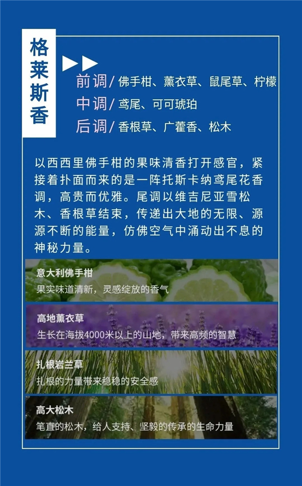 格莱斯品牌经营小技巧：闻香识品牌