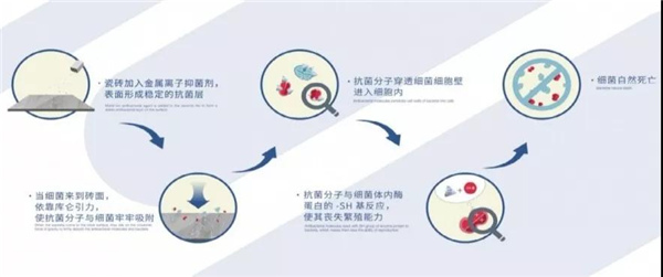 东鹏瓷砖健康砖家系列产品升级发布