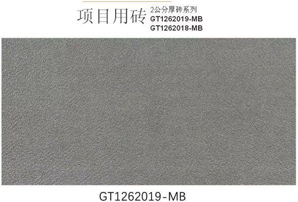 古加特国外工程案例：印度Sunflower酒店户外花园