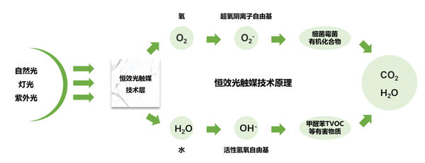 萨米特香榭原石，宅家呼吸新空气！