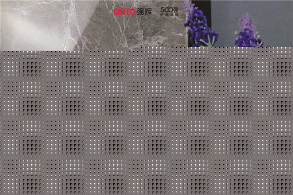 强辉精工瓷砖800X800现代风新品上新