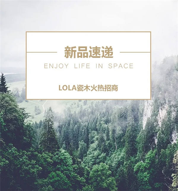 楼兰瓷木瓷名中外,硬核实力继续争一