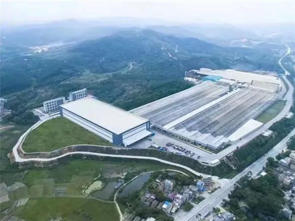 冠星企业董事总经理何友和:扩大规模降低成本,只有品牌才有机会薄利多销
