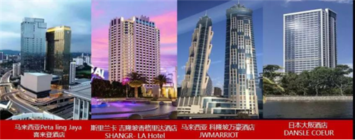 从技术领先到市场领先，新锐瓷砖品牌：大角鹿刚刚启程