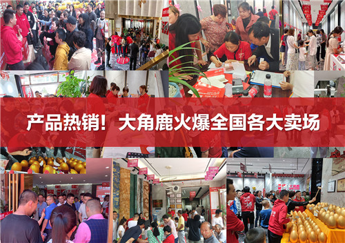 产品供不应求！大角鹿继续扩大产能  开平5厂正式点火投产