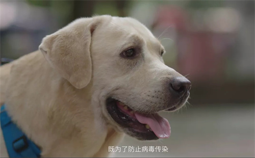 惠万家瓷砖：多管嫌事的双鱼男，不厌其烦的唠叨里藏着的却是责任与暖心