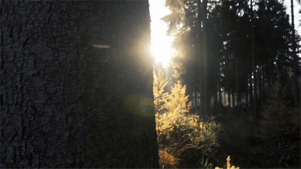 维罗生态砖 印象森林·演绎最自然的诧寂美学