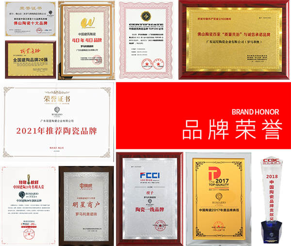 实力见证荣誉，罗马利奥23年荣誉集锦篇