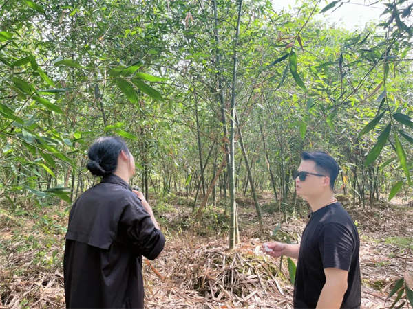 卡布奇诺瓷砖星案优选设计师谭慧明专访：设计价值的体现