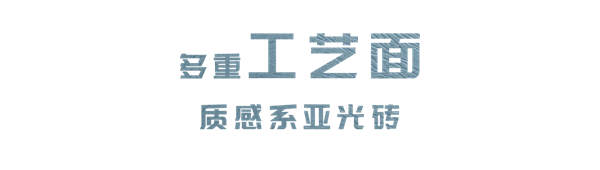 恺瑟格斯质感哑光砖【草纹系列】产品介绍