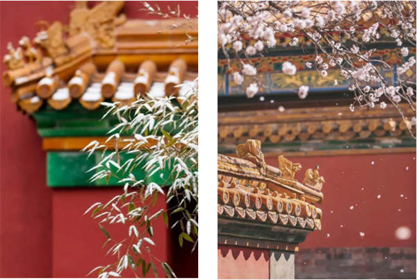 恺瑟格斯质感哑光砖【草纹系列】产品介绍