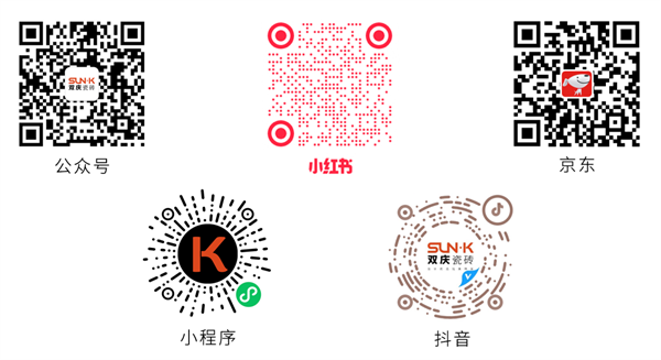 双庆瓷砖——雅居系列-灰 溯源瑞士马特洪峰