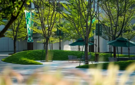 玛缇先生的老友记，一次高品质的仲夏限定游学记