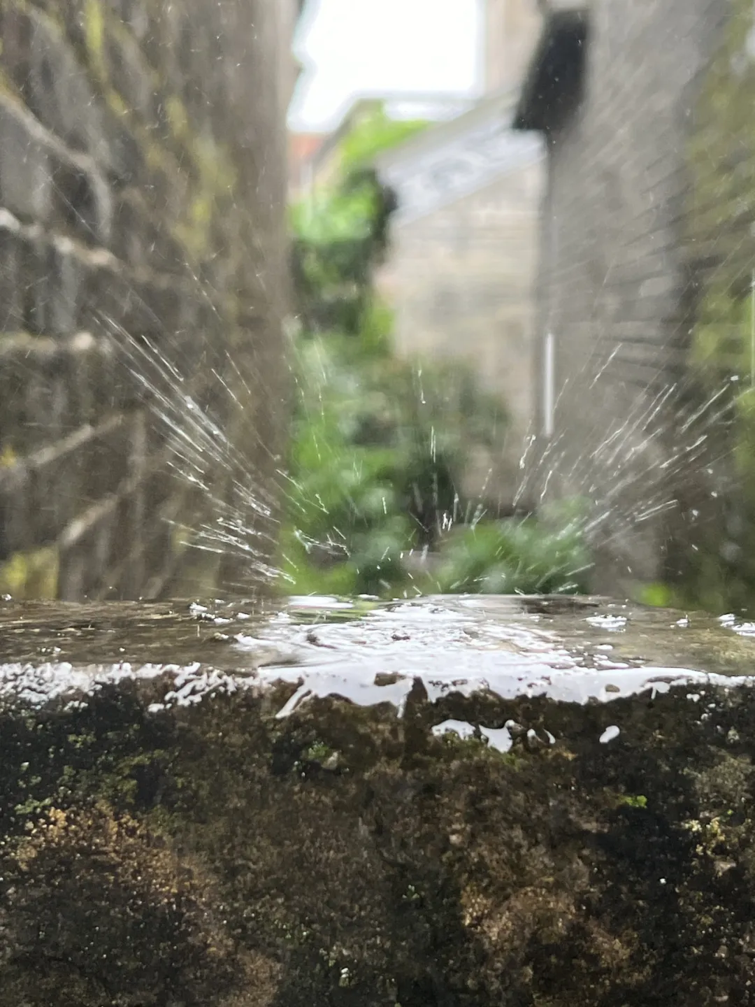 玛缇先生的老友记，一次高品质的仲夏限定游学记
