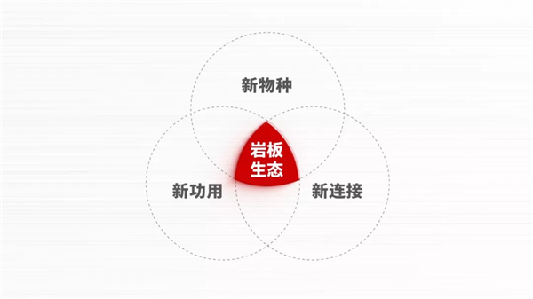 新明珠岩板 X《面对面》：打造世界岩板品牌