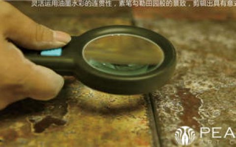 孔雀瓷砖