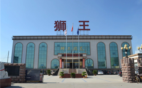消费升级时代，狮王瓷砖品牌在做哪些产品布局？