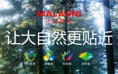 楼兰瓷砖新品双零低吸率木纹砖展示