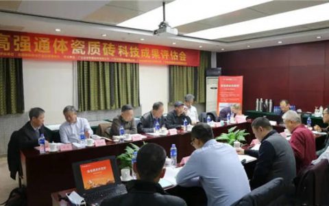 威尔斯陶瓷2020荣耀时刻回顾