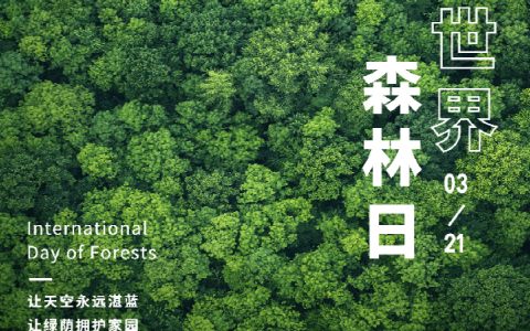 世界森林日，蒙娜丽莎瓷砖与自然共呼吸