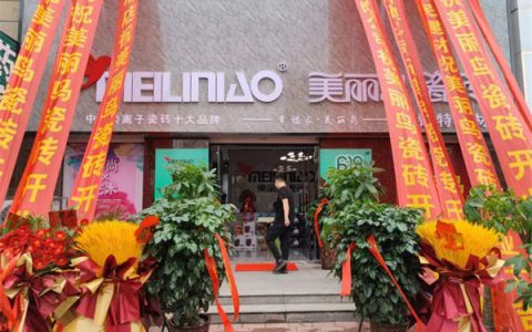 保定定兴美丽鸟瓷砖旗舰店已盛大开业，必去打卡的“网红店”！
