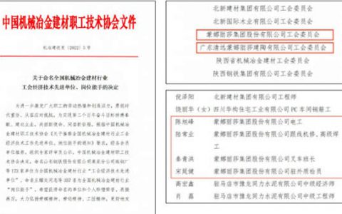 蒙娜丽莎获中国机械冶金建材职工技术协会多项表彰
