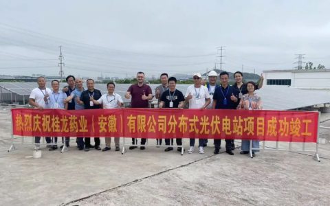 利洁时集团桂龙药业（安徽）分布式光伏电站项目竣工