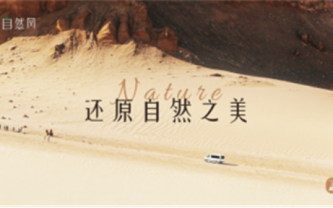 全案设计 | 金牌亚洲家居装修的颜值天花板，是山系自然风没错了