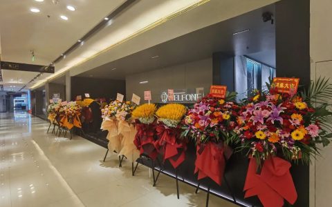 岩下生辉·丰享奢居|德利丰岩板南京旗舰店开业典礼圆满举行
