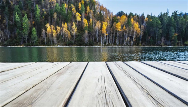 能强瓷砖800×2600mm木纹岩板，源于自然的森呼吸