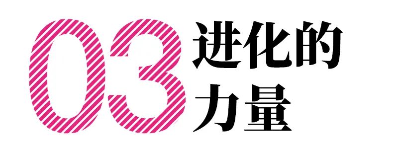 进化的力量——巴黎世家瓷砖十周年观察