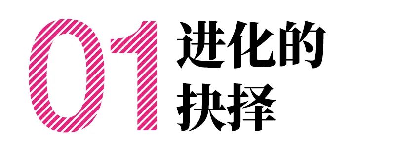 进化的力量——巴黎世家瓷砖十周年观察