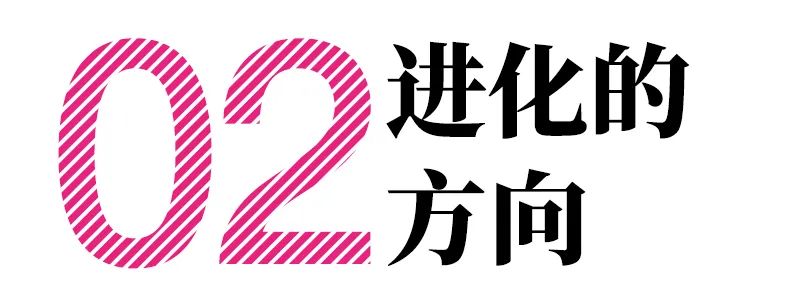 进化的力量——巴黎世家瓷砖十周年观察